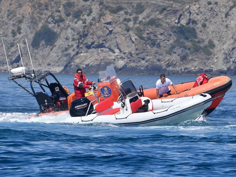 Illustration de l'article : Les autorités lancent une opération de sauvetage pour récupérer un chien laissé seul sur un bateau incontrôlable
